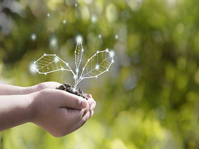 AMBROSETTI MANAGEMENT (*)IN PRESENZA E VIA WEB
Think ahead: verso un futuro sostenibile