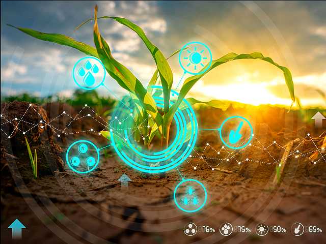 AGGIORNAMENTO PERMANENTEIN PRESENZA
L’Agribusiness del futuro: il ruolo di sostenibilità, innovazione e nuove competenze