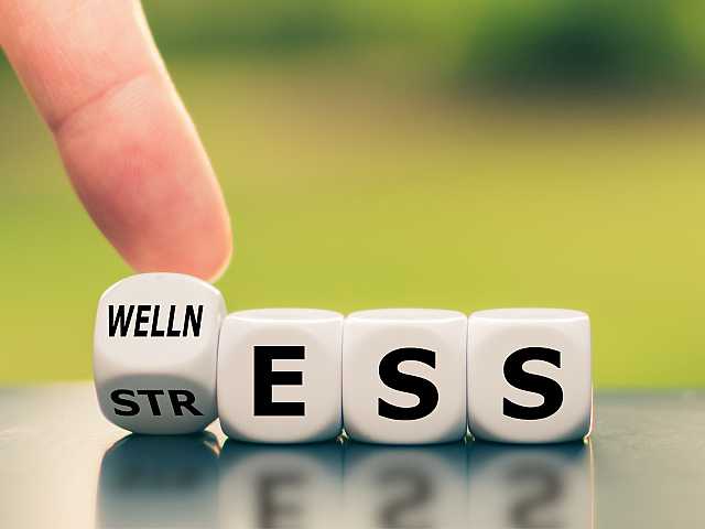 AMBROSETTI LIVEVIA WEB
Microstress: capire cos'è e come si genera, per gestirlo al meglio
