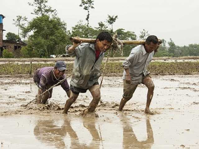 AGGIORNAMENTO PERMANENTEIN PRESENZA
Work Smarter, Not Harder: come lavorare meglio e meno