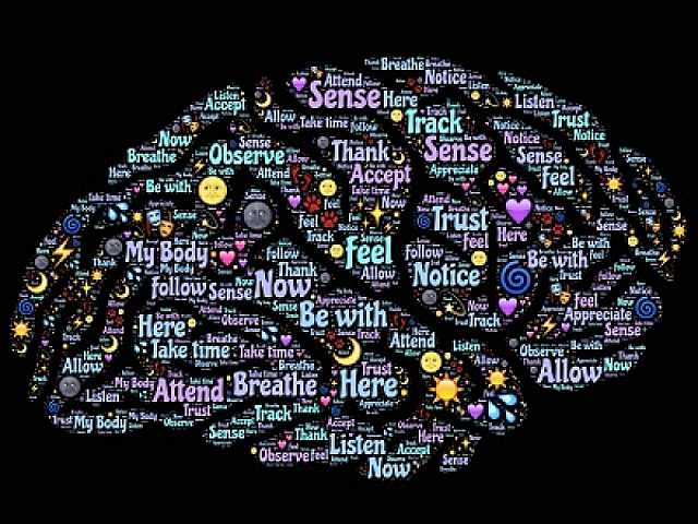 AGGIORNAMENTO PERMANENTEIN PRESENZA
Viaggio nella mente umana: le neuroscienze della creatività e delle decisioni