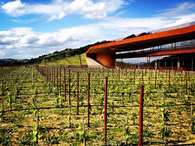 AGGIORNAMENTO PERMANENTEIN PRESENZA
Marchesi Antinori: passione in evoluzione. Tradizione e innovazione alla base di un’eccellenza mondiale.