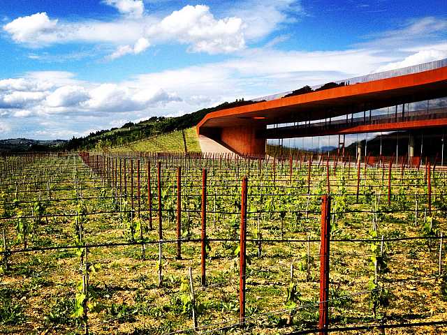 AGGIORNAMENTO PERMANENTEIN PRESENZAVisita alle Cantine Antinori: un'eccellenza mondiale tra tradizione e innovazione