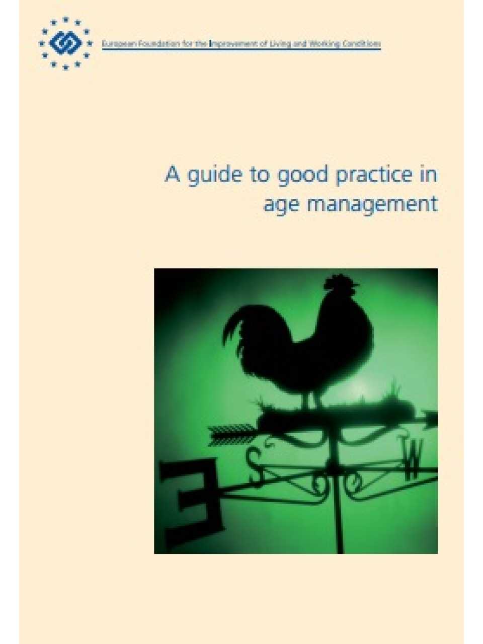 A guide to good practice in age management
