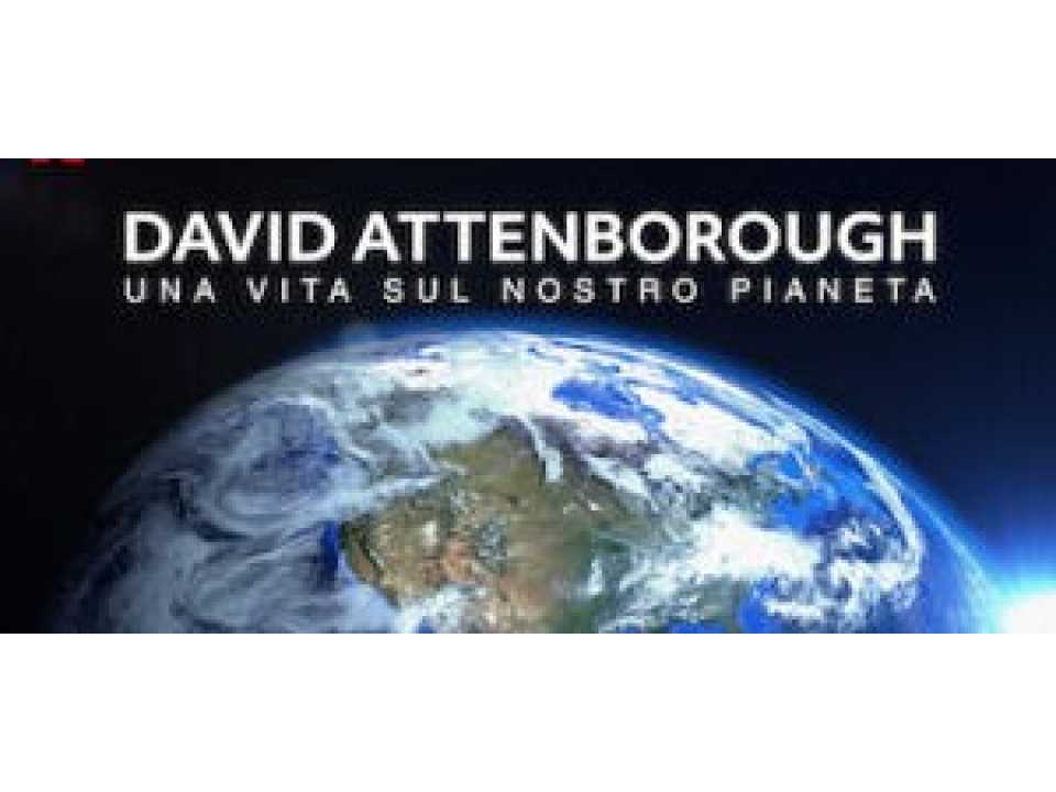 AMBROSETTI MANAGEMENT (*)IN PRESENZA E VIA WEB
Think ahead: verso un futuro sostenibile