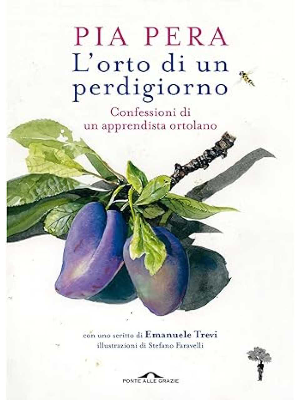 AMBROSETTI MANAGEMENT (*)IN PRESENZA E VIA WEB
Creatività e sostenibilità: combinale per creare un futuro originale e sostenibile