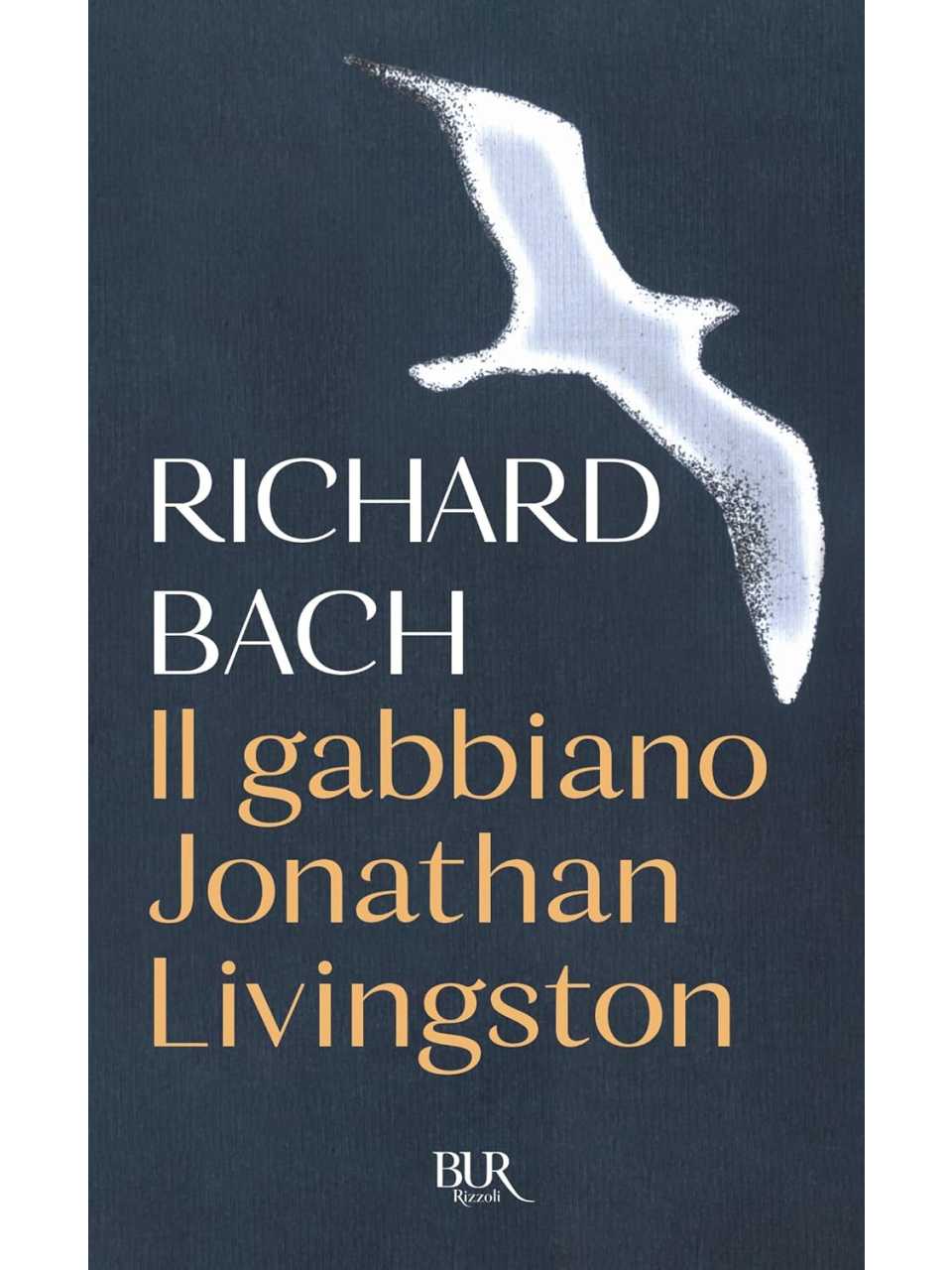 Il gabbiano Jonathan Livingston