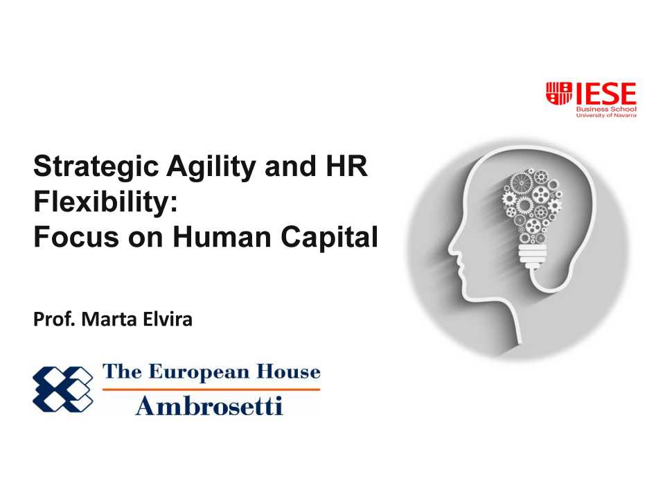 Strategic Agility and HR Flexibility: Focus on Human Capital