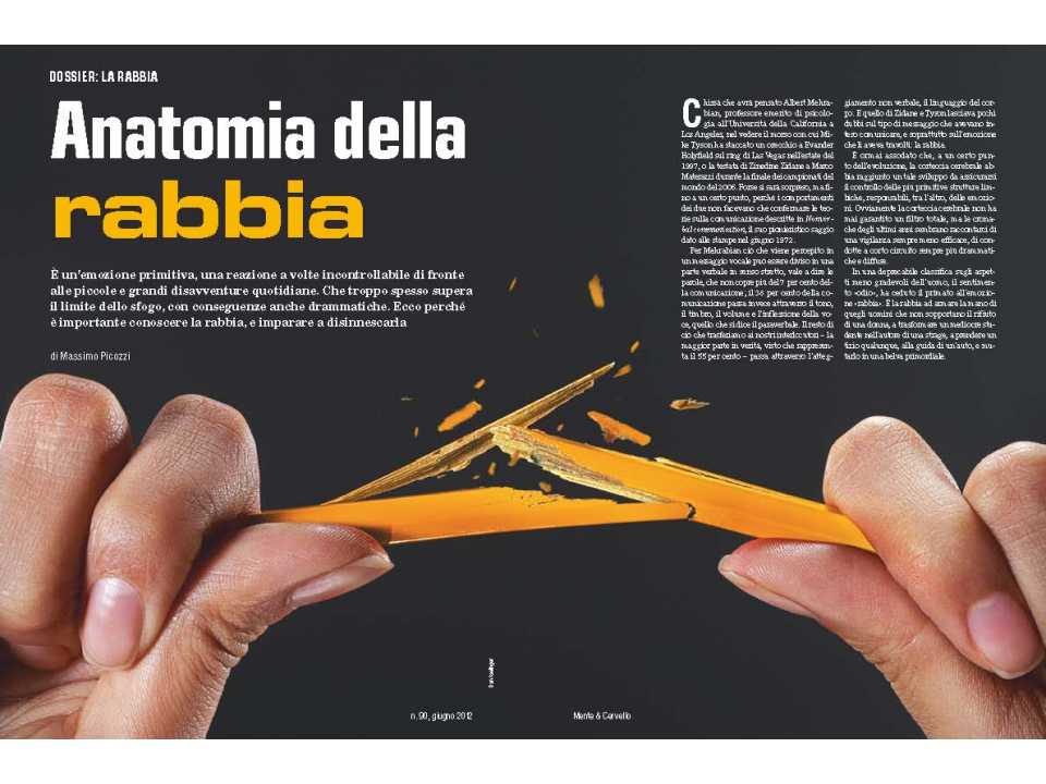 Anatomia della rabbia
