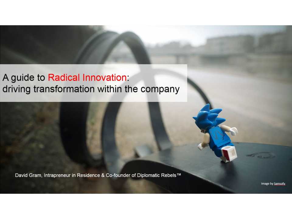 A guide to Radical Innovation: driving transformation within the company