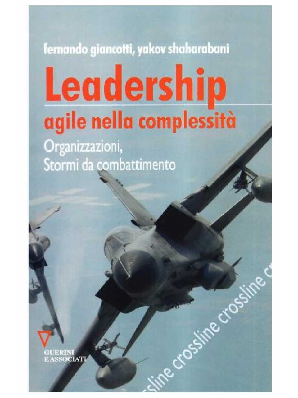Dalla teoria alla pratica: leadership e azione collettiva  in uno Stormo da combattimento. Tratto da Leadership agile nella complessità