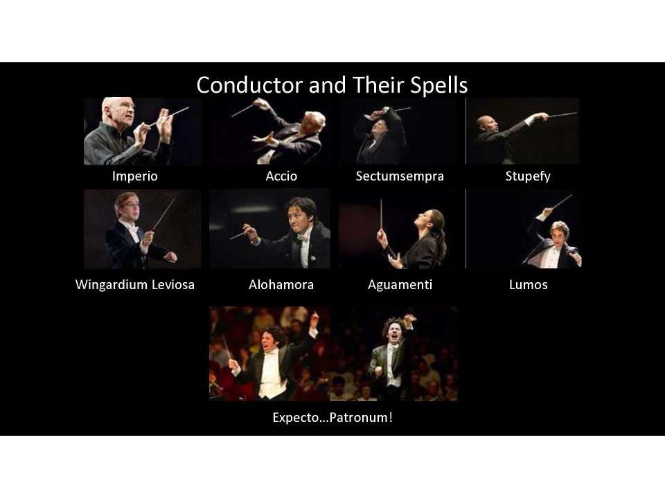 Musica Maestro!