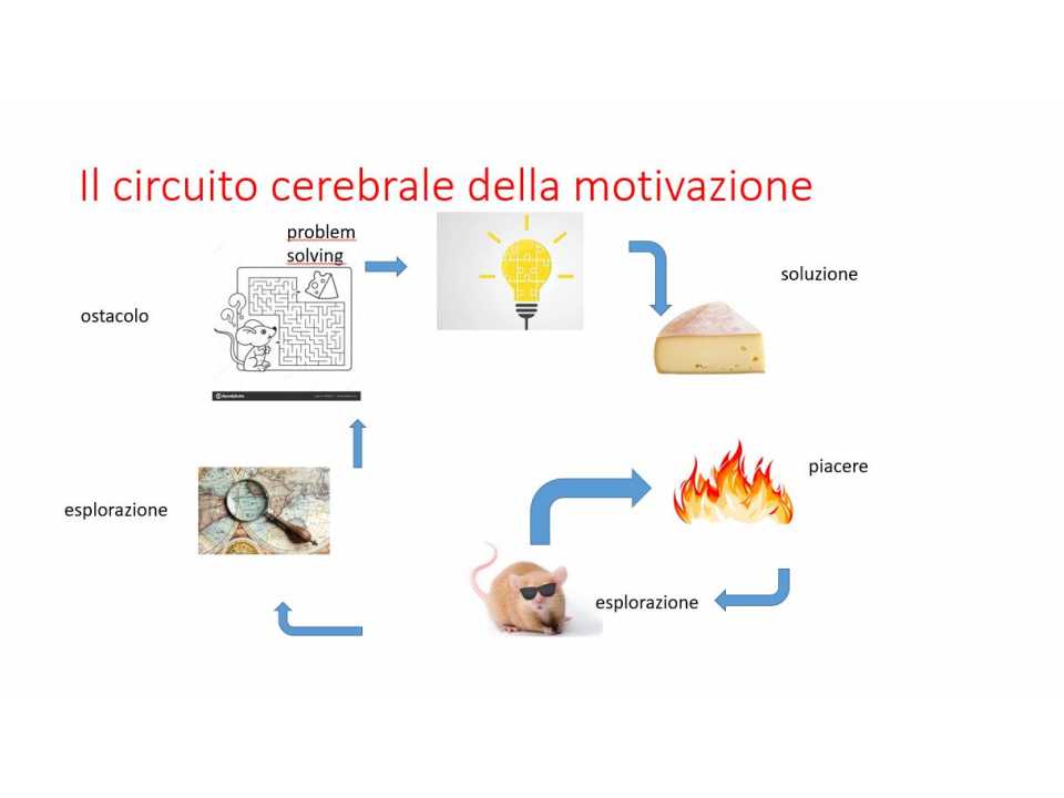 TEHA MANAGEMENT (*)IN PRESENZA
Motivarsi e motivare: flessibilità, passione e attitudini personali