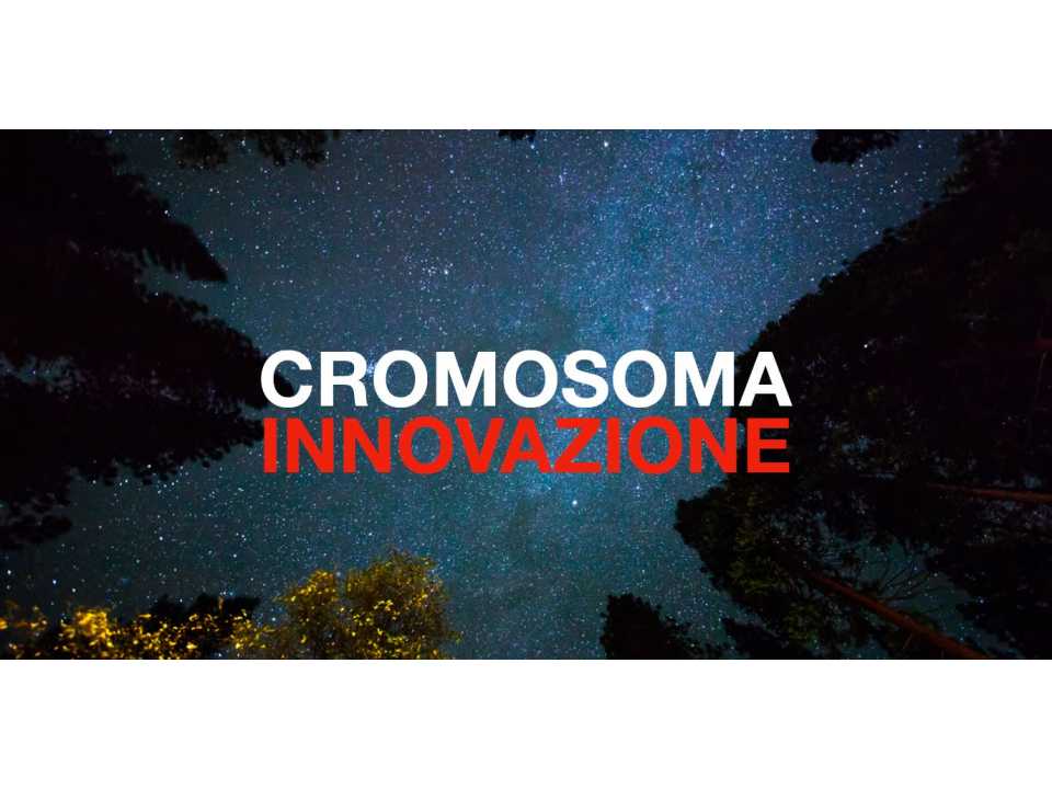 AMBROSETTI MANAGEMENT (*)VIA WEBCromosoma innovazione: come la tecnologia riscrive la genetica delle aziende