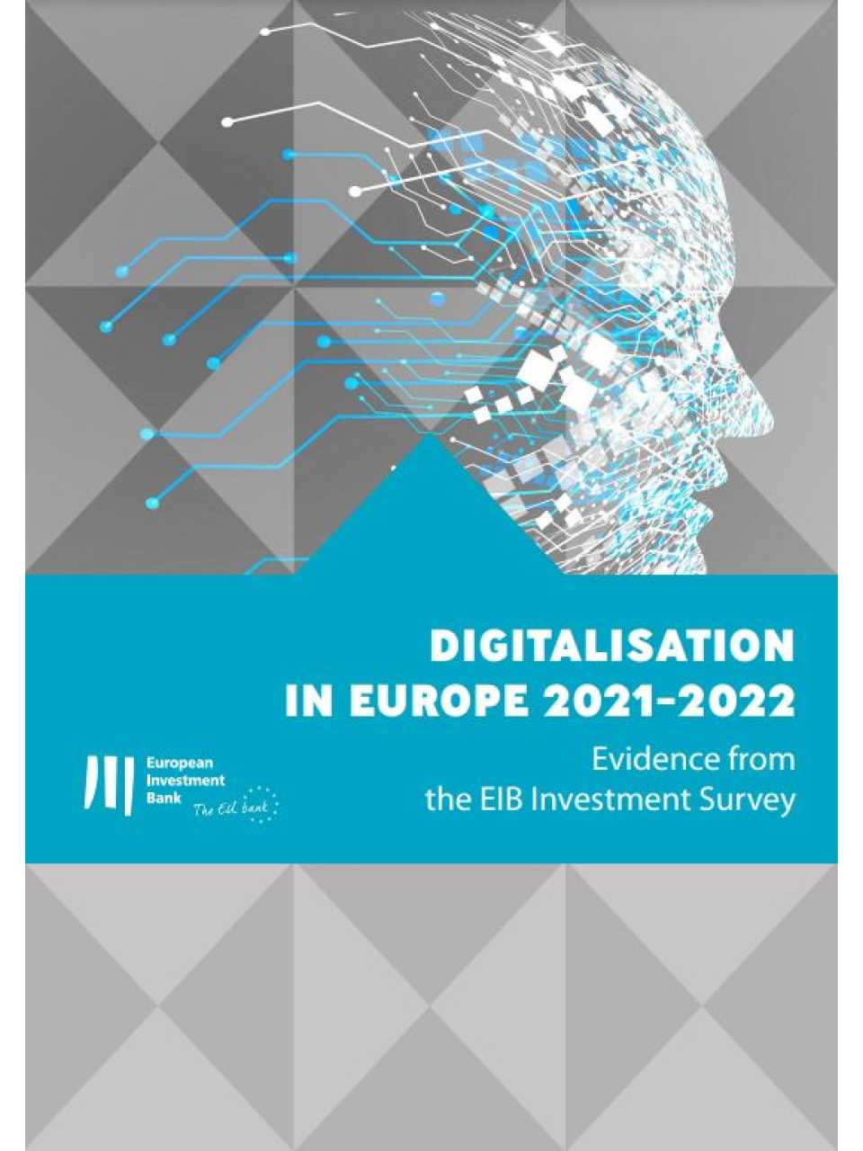 Digitalisation in Europe 2021-2022. Evidence from the EIB Investment Survey