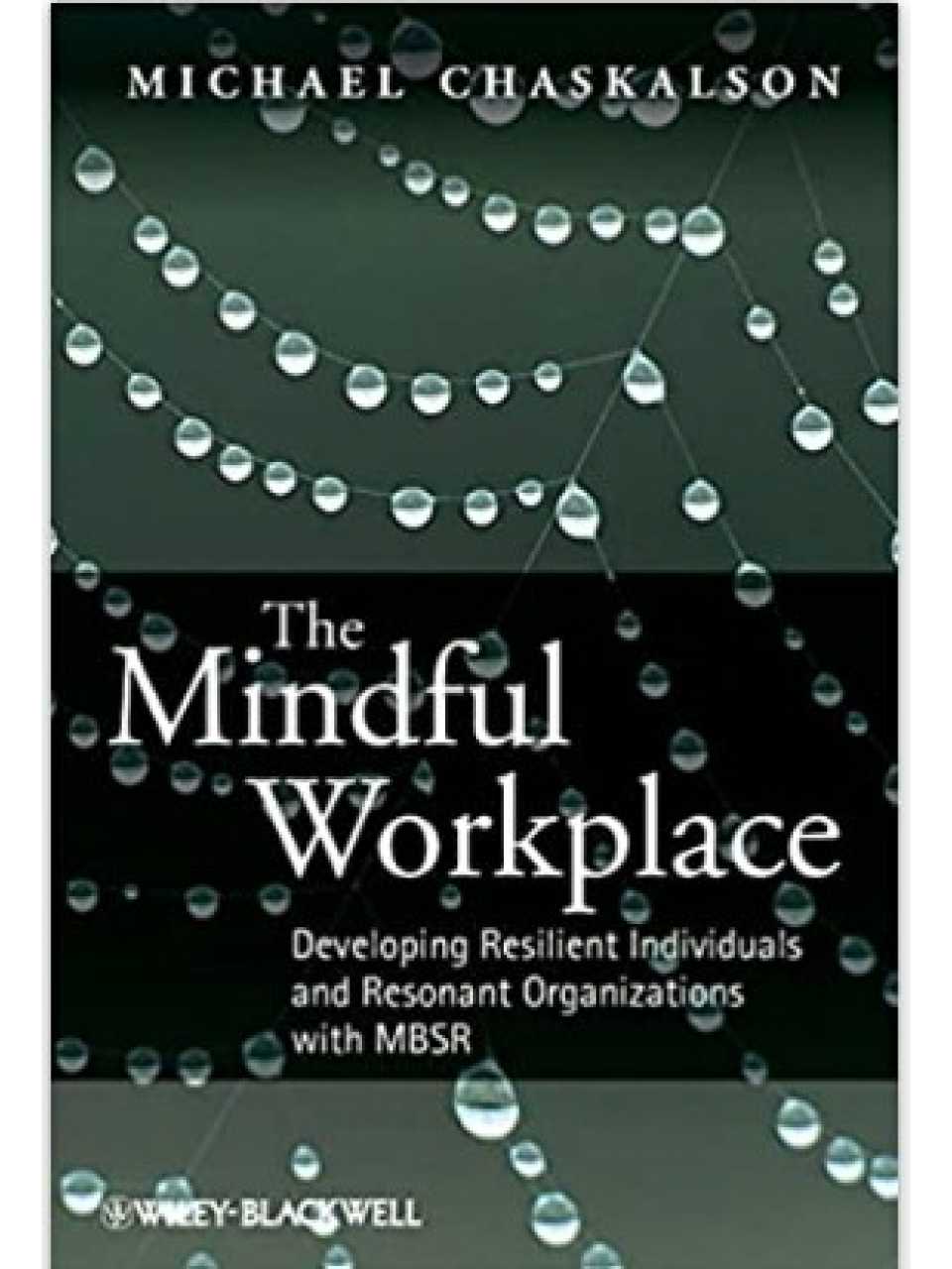 AMBROSETTI LIVEVIA WEB
Mindfulness for Executives: come usarla per migliorare la performance personale e organizzativa