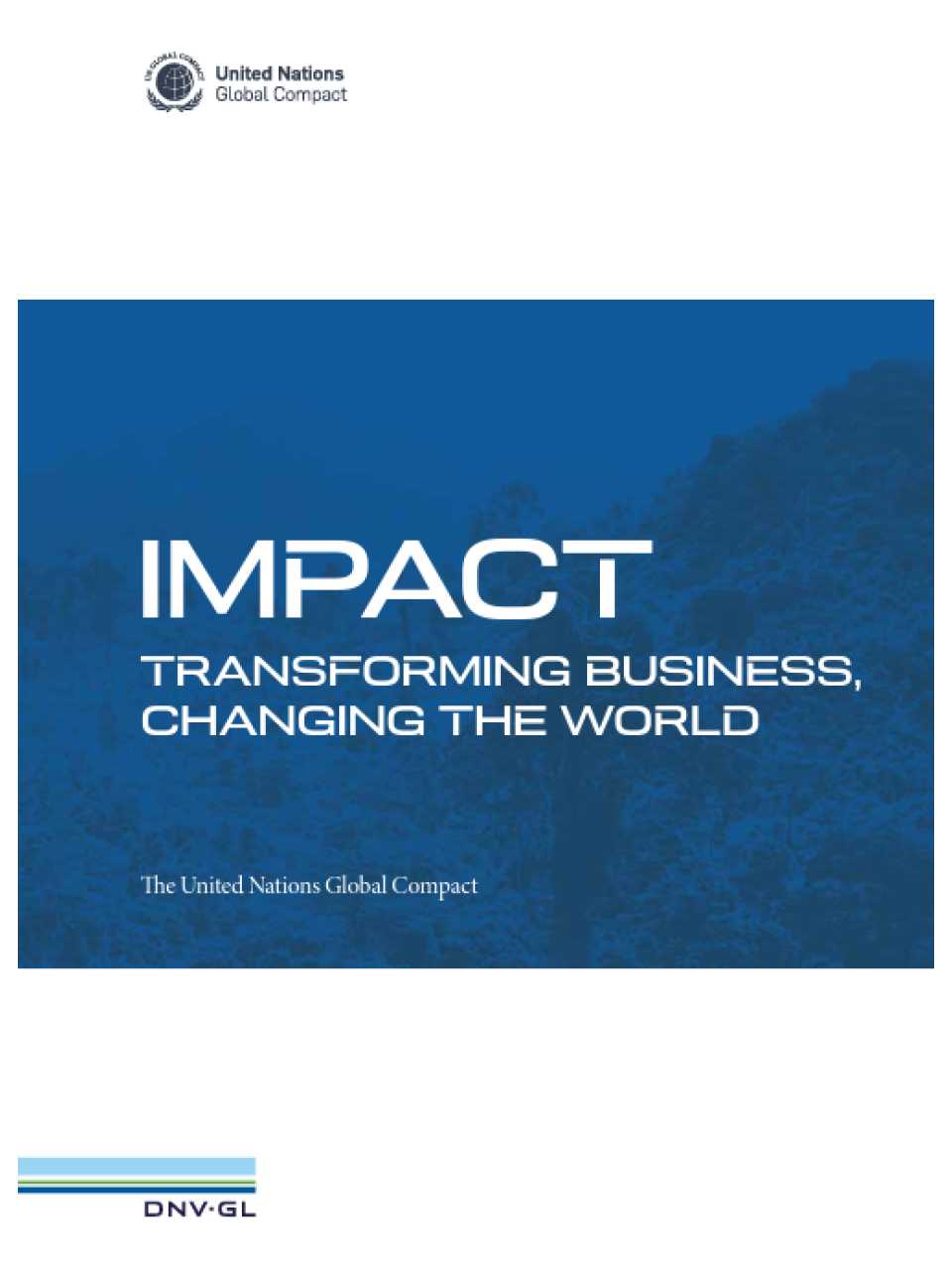 Impact: transforming business, changing the world