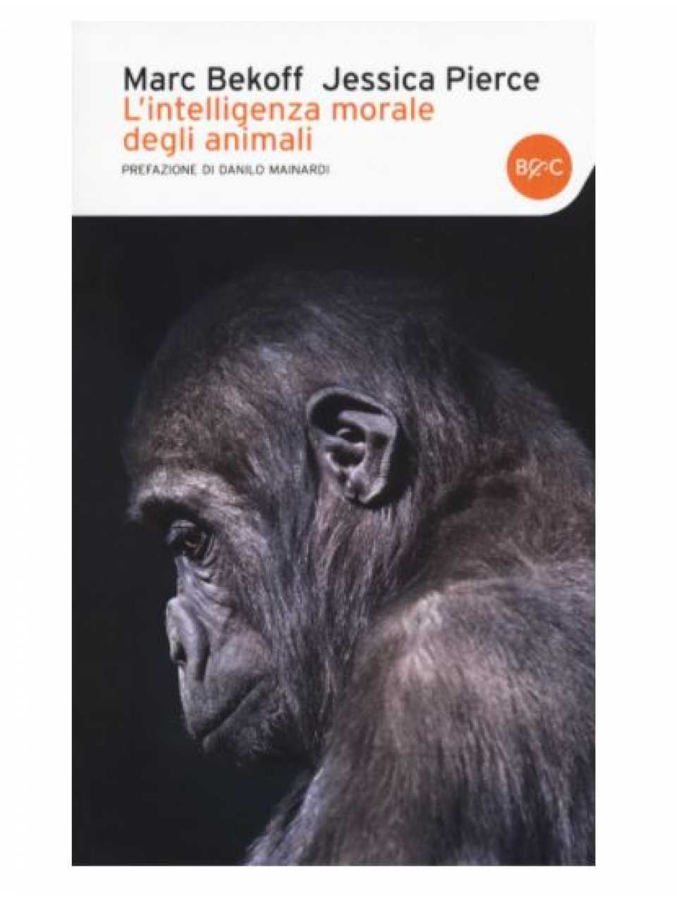 TEHA MANAGEMENT (*)VIA WEBPianificare il futuro e i prevedibili imprevisti: gestire paure e aspettative sul lavoro e nella vita