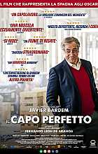 Il capo perfetto