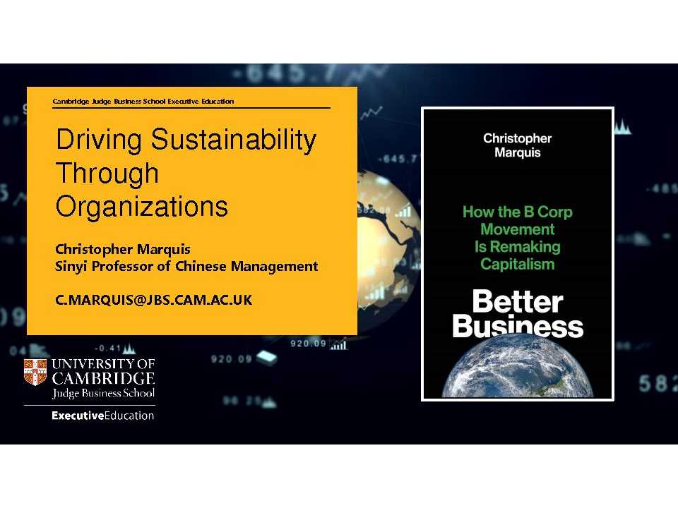 Driving Sustainability Through Organizations