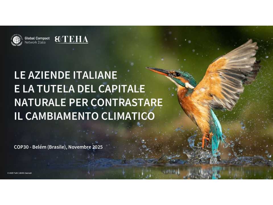 TEHA LIVEVIA WEB
Metriche e management della sostenibilità: dall’innovazione alla routine