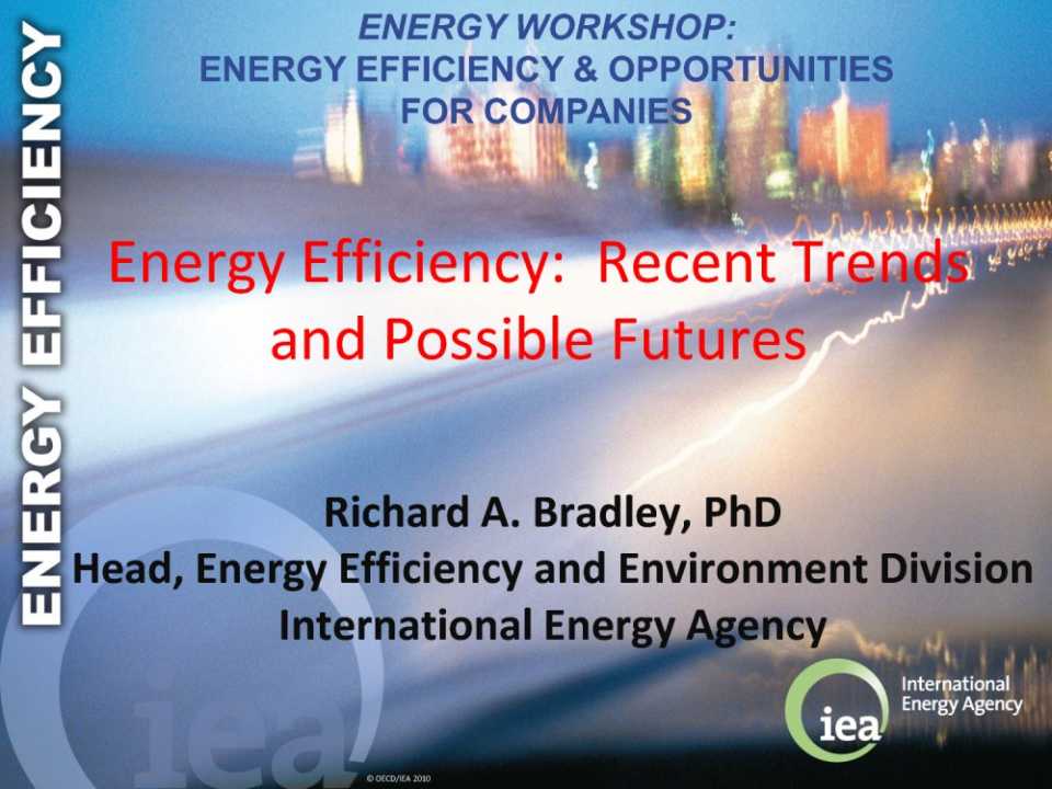 Energy efficiency: recent trends and possible futures