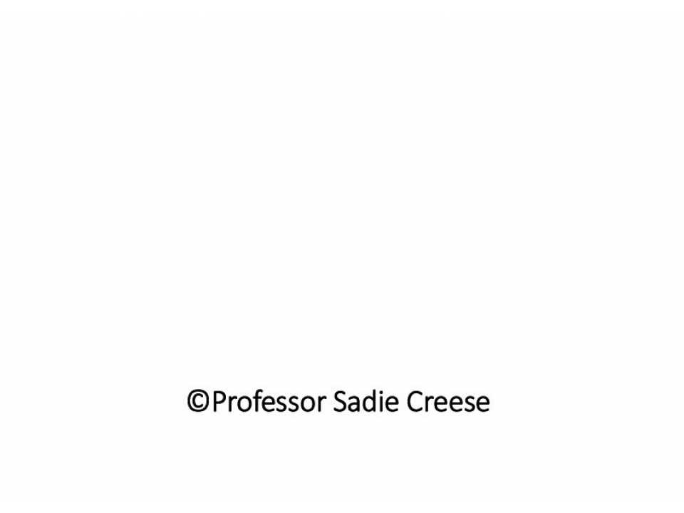Cyber Risks for Business: Future Trends and Management Challenges - Sadie Creese