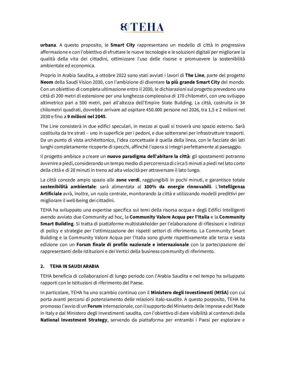 Concept Viaggio Strategico Arabia Saudita