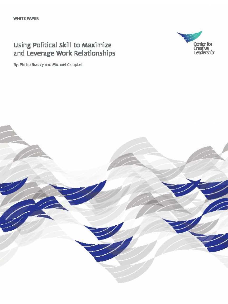 Using political skill to maximize and leverage work relationships