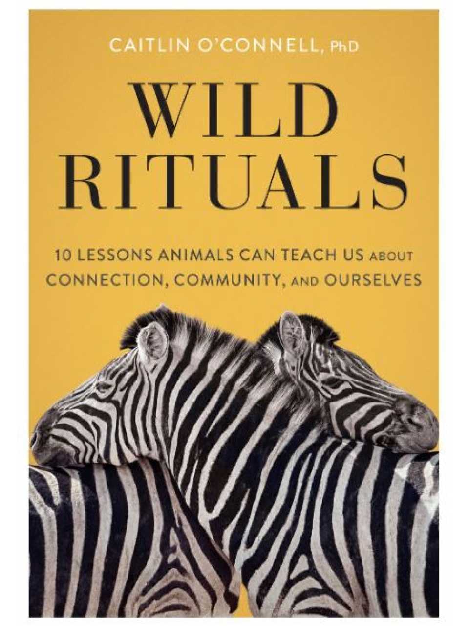TEHA LIVEVIA WEB
Wild Rituals: cosa leader e organizzazioni possono imparare dagli animali