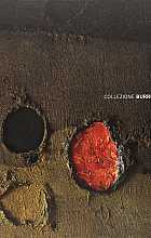Collezione Burri