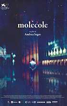 Molecole