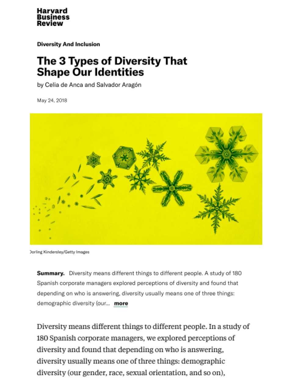 The 3 Types of Diversity That Shape Our Identities
