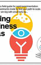 Testing Business Ideas: How to Get Fast Customer Feedback, Iterate Faster and Scale Sooner: A Field Guide for Rapid Experimentation