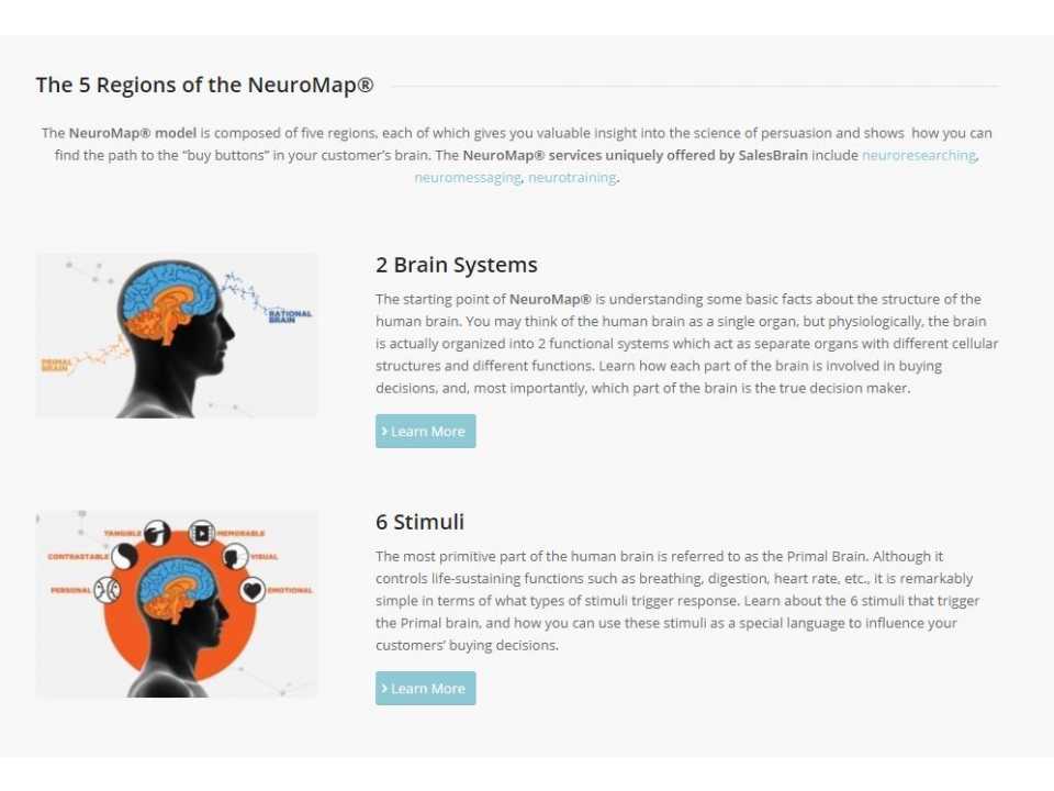  The 5 regions of the neuromap